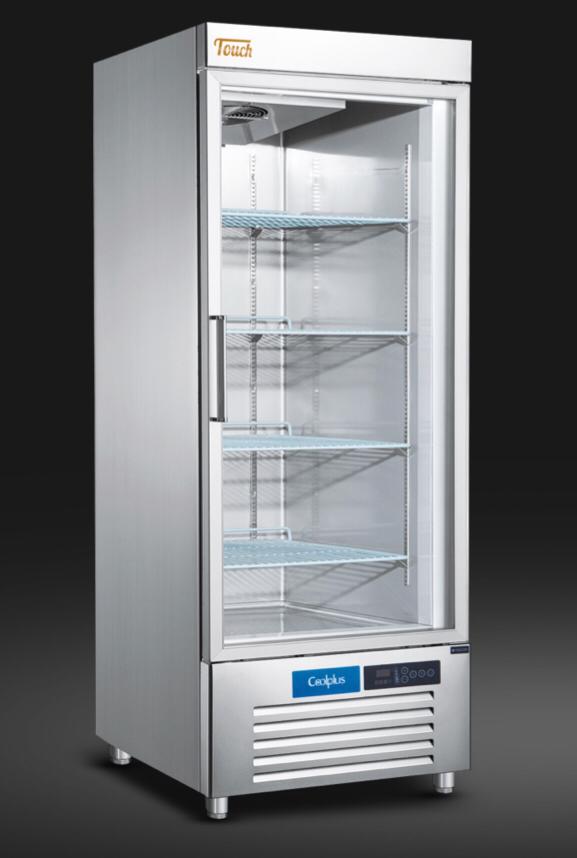 Heavy Duty Glass Door Refrigerator 20 FT